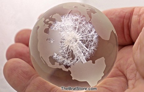 Dandelion Globe