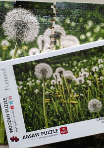 Dandelion Field Jigsaw Puzzle